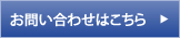 䤤碌Ϥ